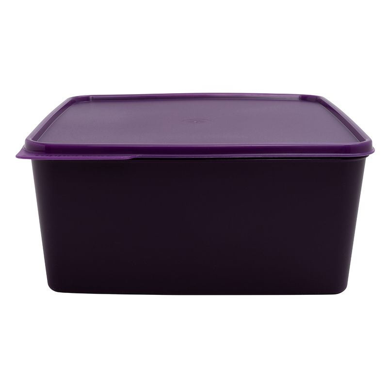 Basic Line 5 Litros Dewberry Ii