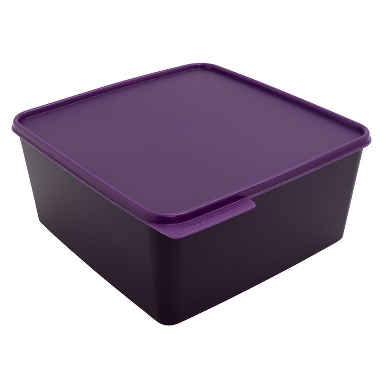 Basic Line 5 Litros Dewberry Ii